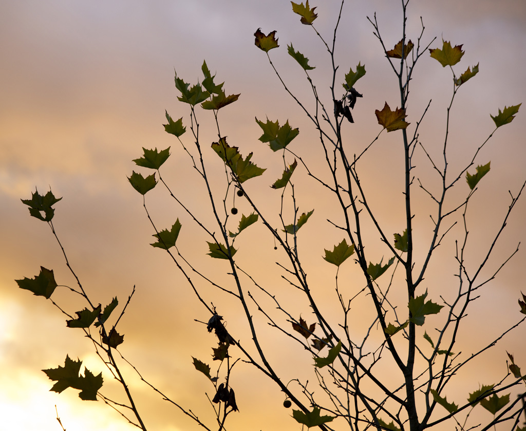 Herbst und Winter 2013