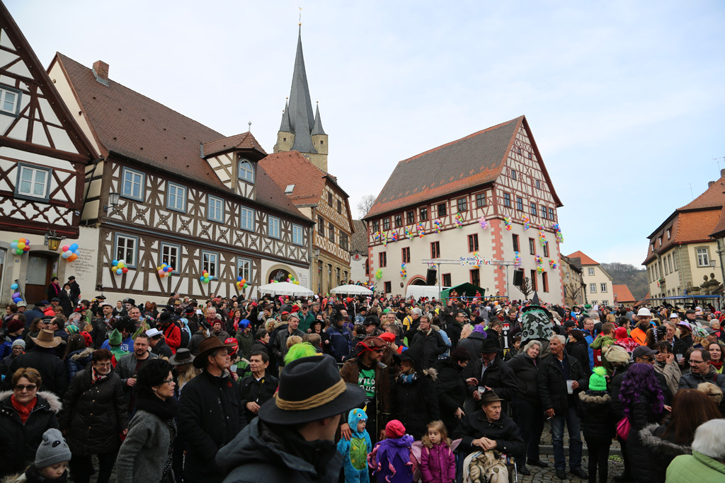 Faschingsumzug Zeil 07.02.2016