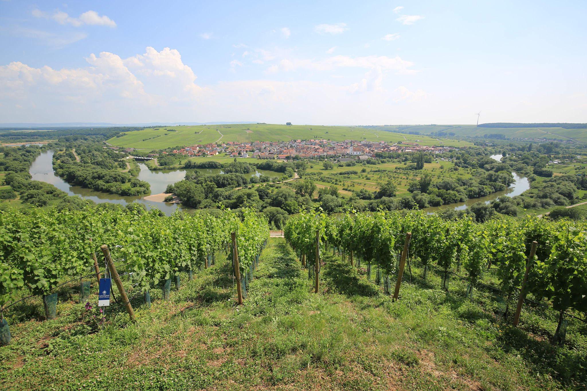 Ausflug Mainschleife 08.06.2018