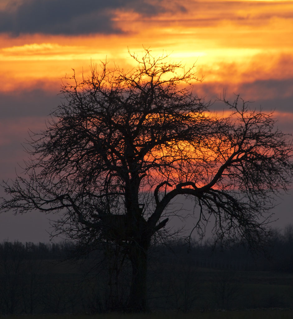 Am Zabelstein 12.01.2013