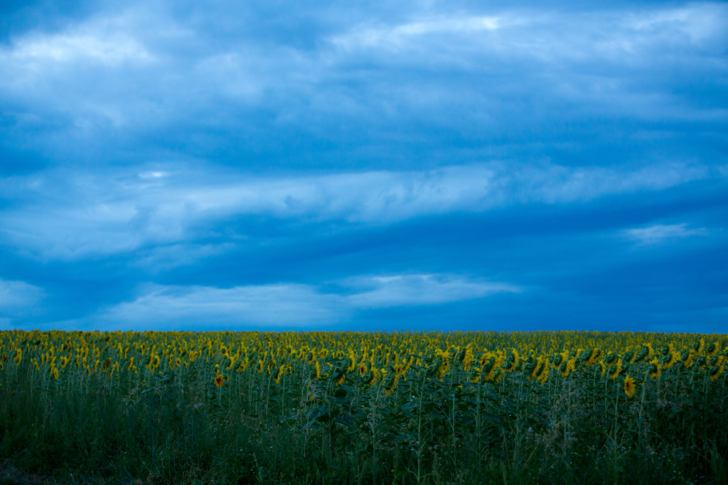 Sommerabend bei Wülflingen 03.08.2014