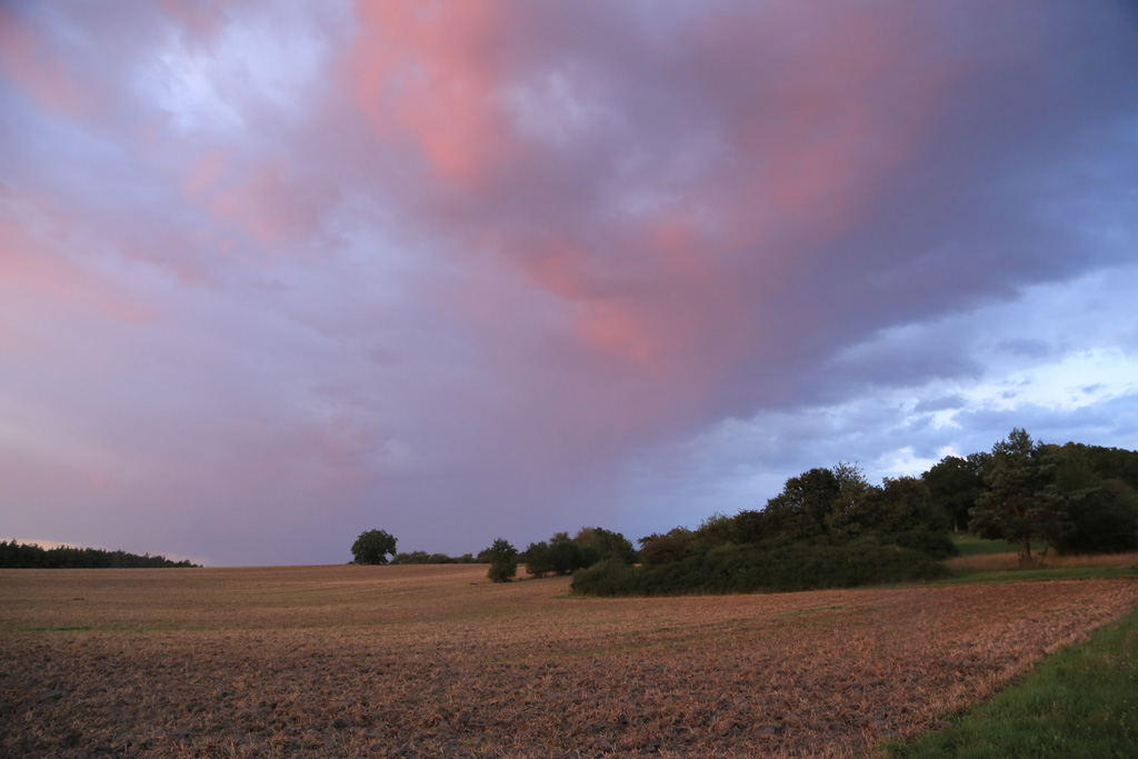 Sommerabend bei Ostheim 11.08.2014