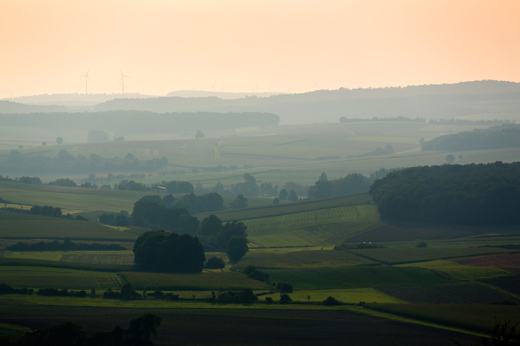 Königsberg und Umgebung 04.09.2014