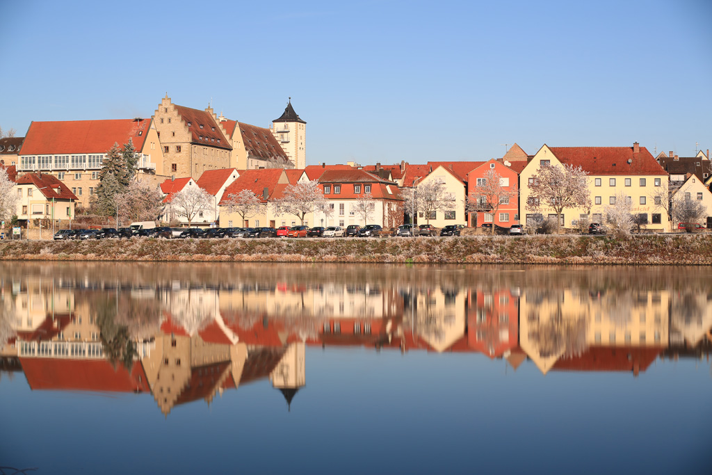 Winterfrost am Main 03.12.2016